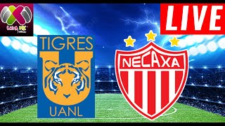 Tigres Women vs Necaxa Women Live Score [upl. by Thacher640]