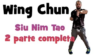 Aprende Wing Chun desde cero quot1ª Formaquot Siu Nim Tao 2º parte🐉Técnicas🐉 [upl. by Trenton]