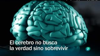 DOCUMENTALES INTERESANTES🔥El mejor DOCUMENTAL 2023 ⚠️El poder del cerebro [upl. by Lamphere839]