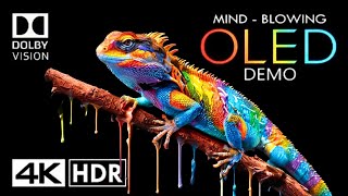 MINDBLOWING OLED Dolby Vision 4k HDR 60fps 4k Video [upl. by Victoria684]