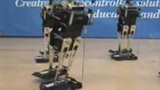 Toddler Robots Dance the Hokey Pokey [upl. by Tenaj95]