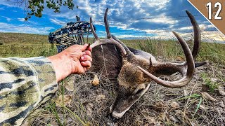 PUBLIC LAND BUCK DOWN THP Viewer Helps Me Drag Deer Out [upl. by Koller122]