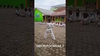 GIBON POOMSAE 1 2 DAN 3 [upl. by Akenor]