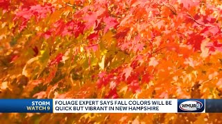 Vibrant foliage season in NH expected this year [upl. by Dalston]