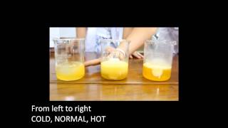 Chemistry Experiment  Temperature Affecting The Rate of Reaction [upl. by Ycrep292]