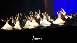 Valses de Vienne au Zénith de Limoges le 26012014 [upl. by Isnam]