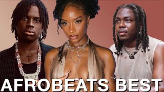 BEST OF NAIJA AFROBEATS 2024 VIDEO MIX AFROBEATS PARTY MIX  KENYA  TANZANIA  GHANA SOUTH AFRICA [upl. by Egnalos]