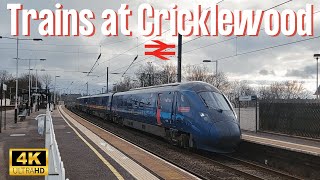 Trains at Cricklewood 6th January 2024 [upl. by Maire]