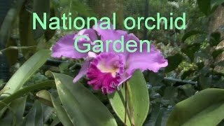 Singapour jardins exotiques et jardin orchidées ginger gardinamp national orchid garden LC Vidéo [upl. by Perce]