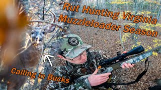 Rut Hunting Virginia Muzzleloader Season DEER EVERYWHERE Grunting In Bucks [upl. by Randie732]