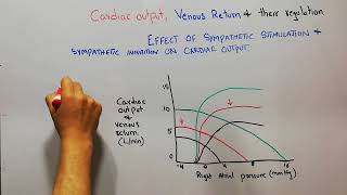 CVS 184  How sympathetic stimulation and inhibition affects cardiac output and venous return curve [upl. by Theran]