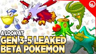 GEN 35 Pokemon LEAKED Scrapped Beta Designs Revealed [upl. by Ahsiekrats]