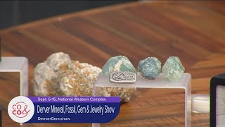 The Denver Mineral Fossil Gem and Jewelry Show Rocks [upl. by Ramirolg]