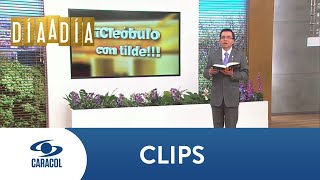 ¿Por qué es inútil marcar la tilde en los demostrativos este ese y aquel  Caracol TV [upl. by Newbill862]