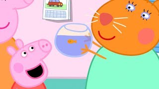 Peppa Pig en Español Episodios completos  Peppa Pig a al veterinario  Pepa la cerdita [upl. by Tihom]