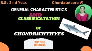 Chondrichthyes classification up to order bsc 2nd yearchondrichthyeschordatesbsc2ndyearzoology [upl. by Naneik]