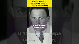 Лев Зильбер судьба биография знаменитости история факты учёный интересныефакты [upl. by Llirpa]