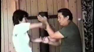 Sifu Wang Kiu  Chi Sau Exercises by wwwwangkiunl [upl. by Noy]