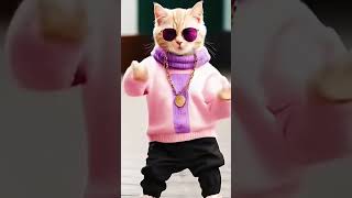 Jhalak Dikhhla Jaa songcat viralshort cute baby punjabisong music catlover [upl. by Boswall346]