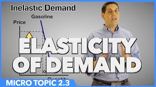 Elasticity of Demand Micro Topic 23 [upl. by Tennek254]