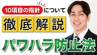 【解説】企業は何をするべき？パワハラ防止法の10項目の指針についてハラスメントのプロが徹底解説！ [upl. by Head]