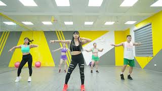 Aerobic The Most Easy For Beginners  Mira Pham Aerobics [upl. by Hahnert]