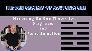 Hidden Secrets of Acupuncture Mastering Ba Gua Theory for Diagnosis and Point Selection [upl. by Foley760]