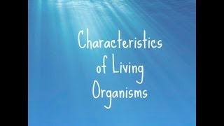 3 IGCSE Biology in 60 Seconds  Characteristics of Living Organisms [upl. by Sabsay]