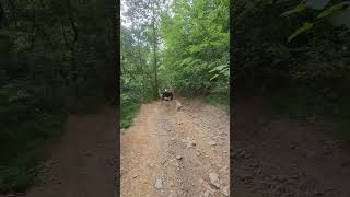 Walking the log at Windrock Park sas toyota tacoma 4x4 bashfabrication trailgear tacomaworld [upl. by Naginarb]