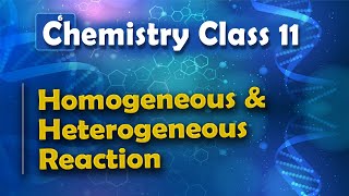 Homogeneous and Heterogeneous Reaction  Chemical equilibrium  Chemistry Class 11 [upl. by Akirea]