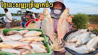 ទន្លេសាប ថ្ងៃនេះ សម្បូរត្រីឆ្កោកធំៗ ល្អណាស់ 🐟👍  Freshwater Fish Market KH Ep 557 [upl. by Eniaral]