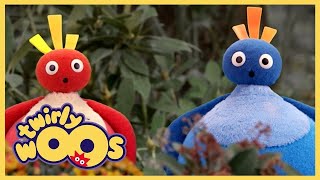 🎈 Twirlywoos  FULL EPISODES  Up  Shows for Kids 🎈 [upl. by Haggi]