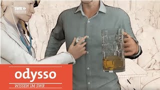 Wie sich der Körper vom Alkohol erholt  SWR Wissen [upl. by Hurd707]