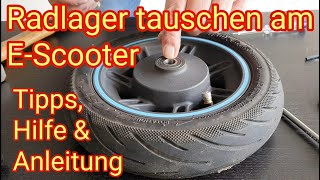 Radlager tauschen am EScooter  Ninebot Max G30D 2 Xiaomi Streetbooster Trittbrett VMax [upl. by Buffum]