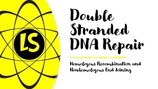 Double Stranded DNA Repair  Homologous Recombination and Nonhomologous End Joining [upl. by Nessa]