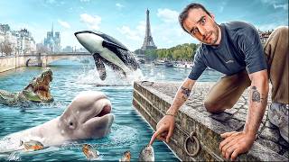 Les pires animaux retrouvés dans la Seine [upl. by Kikelia385]