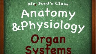 Introduction To Anatomy Physiology Organ Systems 0104 [upl. by Enneirdna]