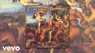 Crash Test Dummies  The Psychic Official Audio [upl. by Duwalt]