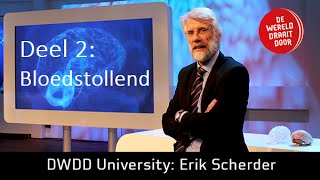 Het Brein deel 2 Prof dr Erik Scherder in De Wereld Draait Door University [upl. by Nlocnil754]