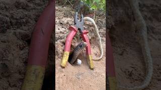 DIY Snake Trap using Pliers diy trap snake snaketrap animals wildlife pitfall shorts [upl. by Della]