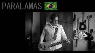 Os Paralamas Do Sucesso  Selvagem BASS COVER MIX [upl. by Akenet]