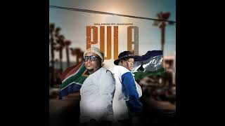 Pula  Maleboo ft Sannere [upl. by Tecla]