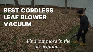 Best Cordless Leaf Blower Vacuums  SJF [upl. by Gagne]