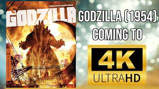 Criterion Godzilla 1954 4K and Godzilla Minus One Steel Book Announcement Reaction [upl. by Siravat]