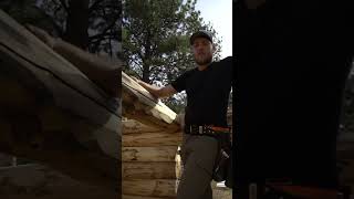 Aligning loft joists  Meadowlark DIY Log Cabin Series [upl. by Grata141]