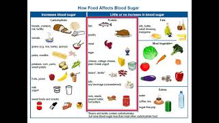 Adult Type 2 Diabetes  4 Nutrition Basics [upl. by Heise]