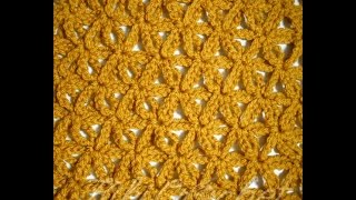 Crochet Flower of Life Stitch [upl. by Esyned]