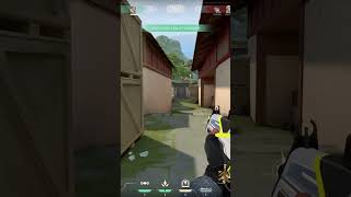 NEAR SOVA 1V5 ACE CLUTCH ON HAVEN  shorts valorant foryou valorantclips gaming funny sova [upl. by Mareah418]