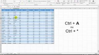 Excel  3 Avancé  Cours Tableau Croisé Dynamique 1 [upl. by Stevie463]