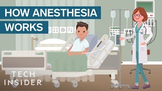 How Anesthesia Affects Your Brain And Body [upl. by Haisi784]